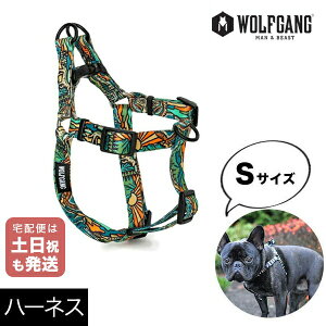 n[lX STCY ^p WOLFGANG MAN & BEAST ChEt WildWolf EtMO }&r[Xg WH-001-113 AJ ȒP v \tg  y[֑Ήi3_܂Łz