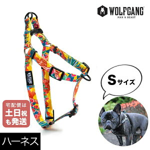 ^ n[lX  v y \tg 􂦂   AJ WOLFGANG MAN & BEAST EtMO PackLeader pbN[_[ STCY Ki y[֑Ήi3_܂Łz WH-001-84