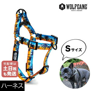 n[lX STCY ^p WOLFGANG MAN&BEAST TZbgp[Y SunsetPalms EtMO }&r[XgWH-001-86  Ki y[֑Ήi3_܂Łz