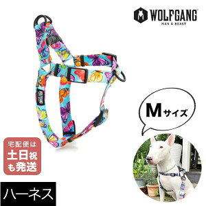 n[lX MTCY ^p WOLFGANG MAN & BEAST tb^[J[ FlutterColor EtMO }&r[Xg WH-002-109 AJ ȒP v \tg  y[֑Ήi3_܂Łz