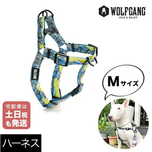 n[lX MTCY ^p WOLFGANG MAN & BEAST h[pg[ DawnPatrol EtMO }&r[Xg WH-002-111 AJ ȒP v \tg  y[֑Ήi3_܂Łz
