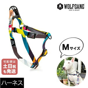 n[lX MTCY ^p WOLFGANG MAN & BEAST {[[h BoneYard EtMO }&r[Xg WH-002-112 AJ ȒP v \tg  y[֑Ήi3_܂Łz