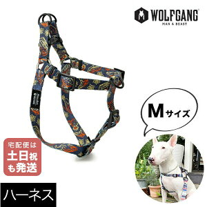 n[lX MTCY ^p WOLFGANG MAN & BEAST Thtbg SandFlats EtMO }&r[Xg WH-002-114 AJ ȒP v \tg  y[֑Ήi3_܂Łz