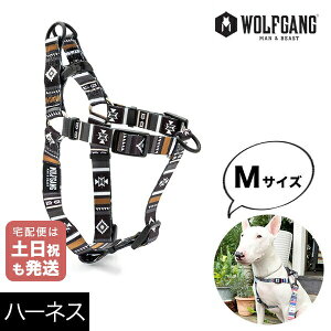 n[lX MTCY ^p WOLFGANG MAN & BEAST j[[ NewMoon EtMO }&r[XgWH-002-79 AJ ȒP v \tg  y[֑Ήi3_܂Łz