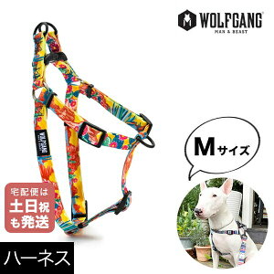 ハーネス Mサイズ 中型犬用 WOLFGANG MAN&BEAST パックリーダー PackLeader ウルフギャング マン&ビーストWH-002-84 おしゃれ 正規品 【メール便対応商品3点まで】