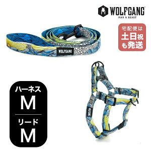 EtMO }Ahr[Xg n[lX[hZbg MMTCY ^p WOLFGANG MAN & BEAST DawnPatrol WH-002-WL-002-111 AJ ȒP v \tg  y[֑Ήi1Zbg܂Łz