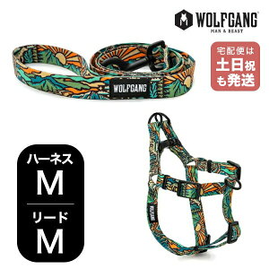 EtMO }Ahr[Xg n[lX[hZbg MMTCY ^p WOLFGANG MAN & BEAST WildWolf WH-002-WL-002-113 AJ ȒP v \tg  y[֑Ήi1Zbg܂Łz