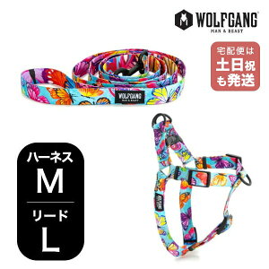 EtMO }Ahr[Xg n[lX[hZbg MLTCY ^p WOLFGANG MAN & BEAST FlutterColor WH-002-WL-003-109 AJ ȒP v \tg  y[֑Ήi1Zbg܂