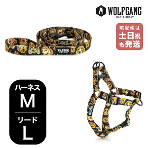 EtMO }Ahr[Xg n[lX[hZbg MLTCY ^p WOLFGANG MAN & BEAST MugShot WH-002-WL-003-110 AJ ȒP v \tg  y[֑Ήi1Zbg܂Łz