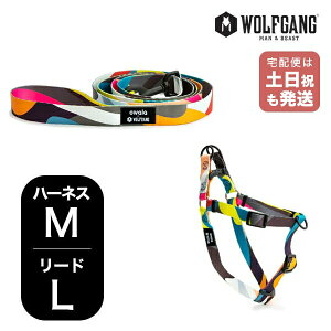 EtMO }Ahr[Xg n[lX[hZbg MLTCY ^p WOLFGANG MAN & BEAST BoneYard WH-002-WL-003-112 AJ ȒP v \tg  y[֑Ήi1Zbg܂Łz