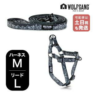 EtMO }&r[Xg n[lX [hZbg MLTCY ^p WOLFGANG MAN & BEAST Et}Ee WolfMountain WH-002-WL-003-83  Ki y[֑Ήi1Zbg܂Łz