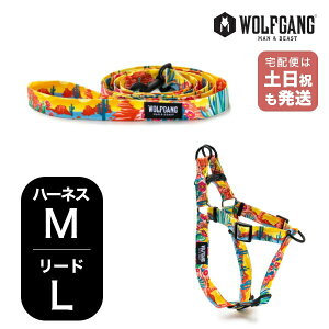 EtMO }&r[Xg n[lX [hZbg MLTCY ^p WOLFGANG MAN & BEAST pbN[_[ PackLeader WH-002-WL-003-84  Ki y[֑Ήi1Zbg܂Łz