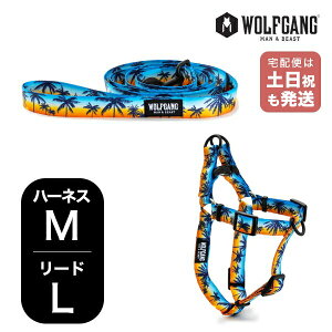 EtMO }&r[Xg n[lX [hZbg MLTCY ^p WOLFGANG MAN & BEAST TZbgp[Y SunsetPalms WH-002-WL-003-86  Ki y[֑Ήi1Zbg܂Łz