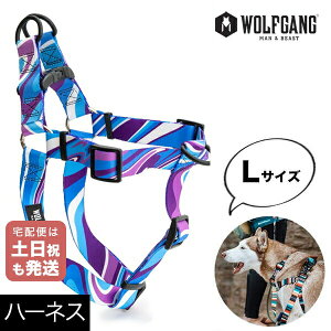 n[lX LTCY ^p WOLFGANG MAN & BEAST }[uEFCu MarbleWave EtMO }&r[Xg WH-003-102 AJ ȒP v \tg  y[֑Ήi3_܂Łz