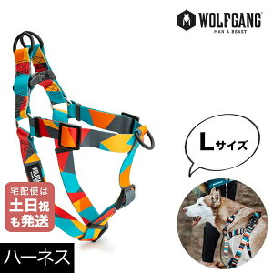 n[lX LTCY ^p WOLFGANG MAN & BEAST Vb^[VFCvX ShatterShapes EtMO }&r[Xg WH-003-105 AJ ȒP v \tg  y[֑Ήi3_܂Łz