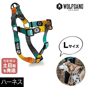 n[lX LTCY ^p WOLFGANG MAN & BEAST VFuebN ChevTech EtMO }&r[Xg WH-003-108 AJ ȒP v \tg  y[֑Ήi3_܂Łz