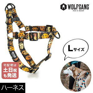 n[lX LTCY ^p WOLFGANG MAN & BEAST }OVbg MugShot EtMO }&r[Xg WH-003-110 AJ ȒP v \tg  y[֑Ήi3_܂Łz