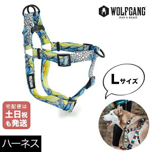 n[lX LTCY ^p WOLFGANG MAN & BEAST h[pg[ DawnPatrol EtMO }&r[Xg WH-003-111 AJ ȒP v \tg  y[֑Ήi3_܂Łz