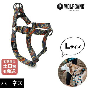 n[lX LTCY ^p WOLFGANG MAN & BEAST Thtbg SandFlats EtMO }&r[Xg WH-003-114 AJ ȒP v \tg  y[֑Ήi3_܂Łz
