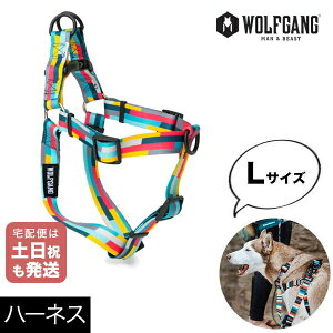n[lX LTCY ^p WOLFGANG MAN & BEAST ~bNXe[v MixTape EtMO }&r[Xg WH-003-116 AJ ȒP v \tg  y[֑Ήi3_܂Łz