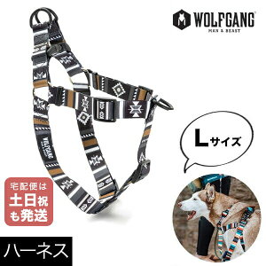 n[lX LTCY ^p WOLFGANG MAN & BEAST j[[ NewMoon EtMO }&r[Xg WH-003-79 AJ ȒP v \tg  y[֑Ήi3_܂Łz