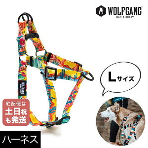 n[lX LTCY ^p WOLFGANG MAN&BEAST pbN[_[ PackLeader EtMO }&r[Xg WH-003-84  Ki y[֑Ήi3_܂Łz