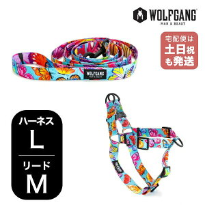 EtMO }Ahr[Xg n[lX[hZbg LMTCY ^p WOLFGANG MAN & BEAST FlutterColor WH-003-WL-002-109 AJ ȒP v \tg  y[֑Ήi1Zbg܂
