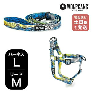 EtMO }Ahr[Xg n[lX[hZbg LMTCY ^p WOLFGANG MAN & BEAST DawnPatrol WH-003-WL-002-111 AJ ȒP v \tg  y[֑Ήi1Zbg܂Łz