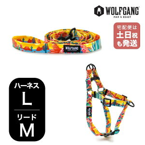 EtMO }&r[Xg n[lX [hZbg LMTCY ^p WOLFGANG MAN & BEAST pbN[_[ PackLeader WH-003-WL-002-84  Ki y[֑Ήi1Zbg܂Łz