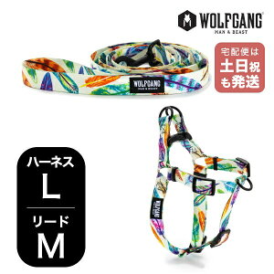 EtMO }&r[Xg n[lX [hZbg LMTCY ^p WOLFGANG MAN & BEAST tFU[hth FeatheredFriend WH-003-WL-002- 85  Ki y[֑Ήi1Zbg܂Łz