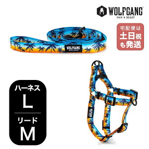 EtMO }&r[Xg n[lX [hZbg LMTCY ^p WOLFGANG MAN & BEAST TZbgp[Y SunsetPalms WH-003-WL-002-86  Ki y[֑Ήi1Zbg܂Łz