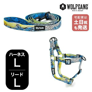 EtMO }Ahr[Xg n[lX[hZbg LLTCY ^p WOLFGANG MAN & BEAST DawnPatrol WH-003-WL-003-111 AJ ȒP v \tg  y[֑Ήi1Zbg܂Łz