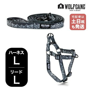 EtMO }&r[Xg n[lX [hZbg LLTCY ^p WOLFGANG MAN & BEAST Et}Ee WolfMountain WH-003-WL-003-83  Ki y[֑Ήi1Zbg܂Łz