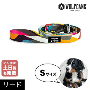 [h STCY ^p WOLFGANG MAN & BEAST {[[h BoneYard EtMO }&r[Xg WL-001-112 AJ ȒP v \tg  y[֑Ήi3_܂Łz