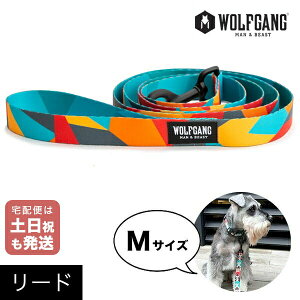 [h MTCY ^p WOLFGANG MAN & BEAST Vb^[VFCvX ShatterShapes EtMO }&r[Xg WL-002-105 AJ ȒP v \tg  y[֑Ήi3_܂Łz