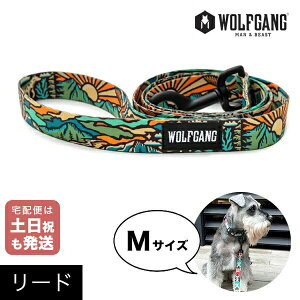 [h MTCY ^p WOLFGANG MAN & BEAST ChEt WildWolf EtMO }&r[Xg WL-002-113 AJ ȒP v \tg  y[֑Ήi3_܂Łz