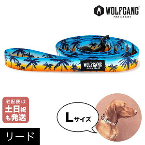 [h LTCY ^p WOLFGANG MAN&BEAST TZbgp[Y SunsetPalms EtMO }&r[Xg WL-003-86  Ki y[֑Ήi3_܂Łz