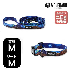 EtMO }Ahr[Xg փ[hZbg MMTCY ^p WOLFGANG MAN & BEAST StarryWolf WC-002-WL-002-125 AJ ȒP v \tg  y[1Zbg܂Łz