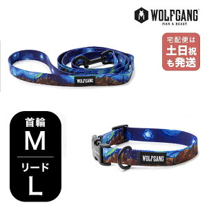 EtMO }Ahr[Xg փ[hZbg MLTCY ^p WOLFGANG MAN & BEAST StarryWolf WC-002-WL-003-125 AJ ȒP v \tg  y[1Zbg܂Łz