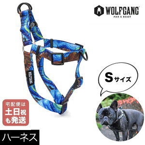 n[lX MTCY ^p WOLFGANG MAN & BEAST X^[[Et StarryWolf EtMO }&r[Xg WH-001-125 AJ ȒP v \tg ɂȂ  y[3_܂Łz