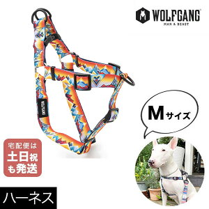 n[lX MTCY ^p WOLFGANG MAN & BEAST }EeoCuX MountainVibes EtMO }&r[Xg WH-002-118 AJ ȒP v \tg ɂȂ  y[3_܂Łz