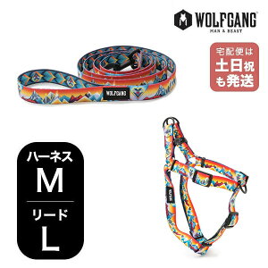 EtMO }Ahr[Xg n[lX[hZbg MLTCY ^p WOLFGANG MAN & BEAST MountainVibes WH-002-WL-003-118 AJ ȒP v \tg  y[1Zbg܂Łz