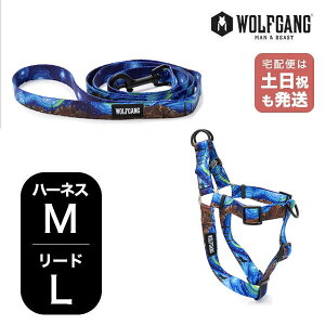�E���t�M�����O �}���A���h�r�[�X�g �n�[�l�X���[�h�Z�b�g ML�T�C�Y ���^���p WOLFGANG MAN & BEAST StarryWolf WH-002-WL-003-125 �ȒP ��v �\�t�g ������� �y���[����1�Z�b�g�܂Łz