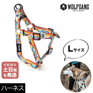 n[lX LTCY ^p WOLFGANG MAN & BEAST }EeoCuX MountainVibes EtMO }&r[Xg WH-003-118 AJ ȒP v \tg ɂȂ  y[3_܂Łz