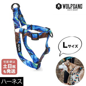 n[lX MTCY ^p WOLFGANG MAN & BEAST X^[[Et StarryWolf EtMO }&r[Xg WH-003-125 AJ ȒP v \tg ɂȂ  y[3_܂Łz