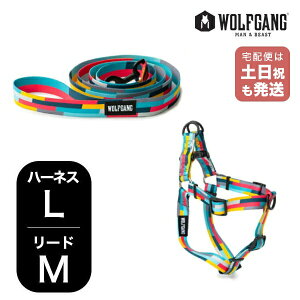 EtMO }Ahr[Xg n[lX[hZbg LMTCY ^p WOLFGANG MAN & BEAST MixTape WH-003-WL-002-116 AJ ȒP v \tg  y[֑Ήi1Zbg܂Łz