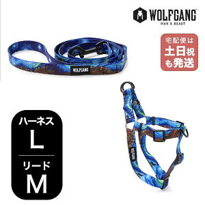 EtMO }Ahr[Xg n[lX[hZbg LMTCY ^p WOLFGANG MAN & BEAST StarryWolf WH-003-WL-002-125 AJ ȒP v \tg  y[1Zbg܂Łz