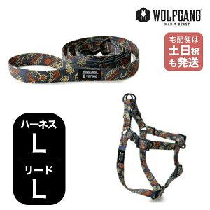 EtMO }Ahr[Xg n[lX[hZbg LLTCY ^p WOLFGANG MAN & BEAST SandFlats WH-003-WL-003-114 AJ ȒP v \tg  y[֑Ήi1Zbg܂Łz