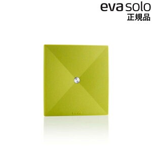 Go\ R[X^[ 4Zbg O[ 530825 EVS032 evasolo kuh fUC CeAG G  pi f}[N Ki