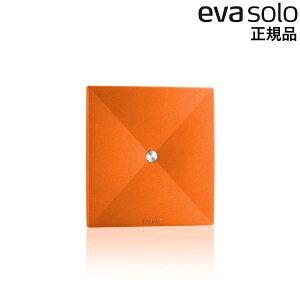 Go\ R[X^[ 4Zbg IW 530828 EVS033 evasolo kuh fUC CeAG G  pi f}[N Ki